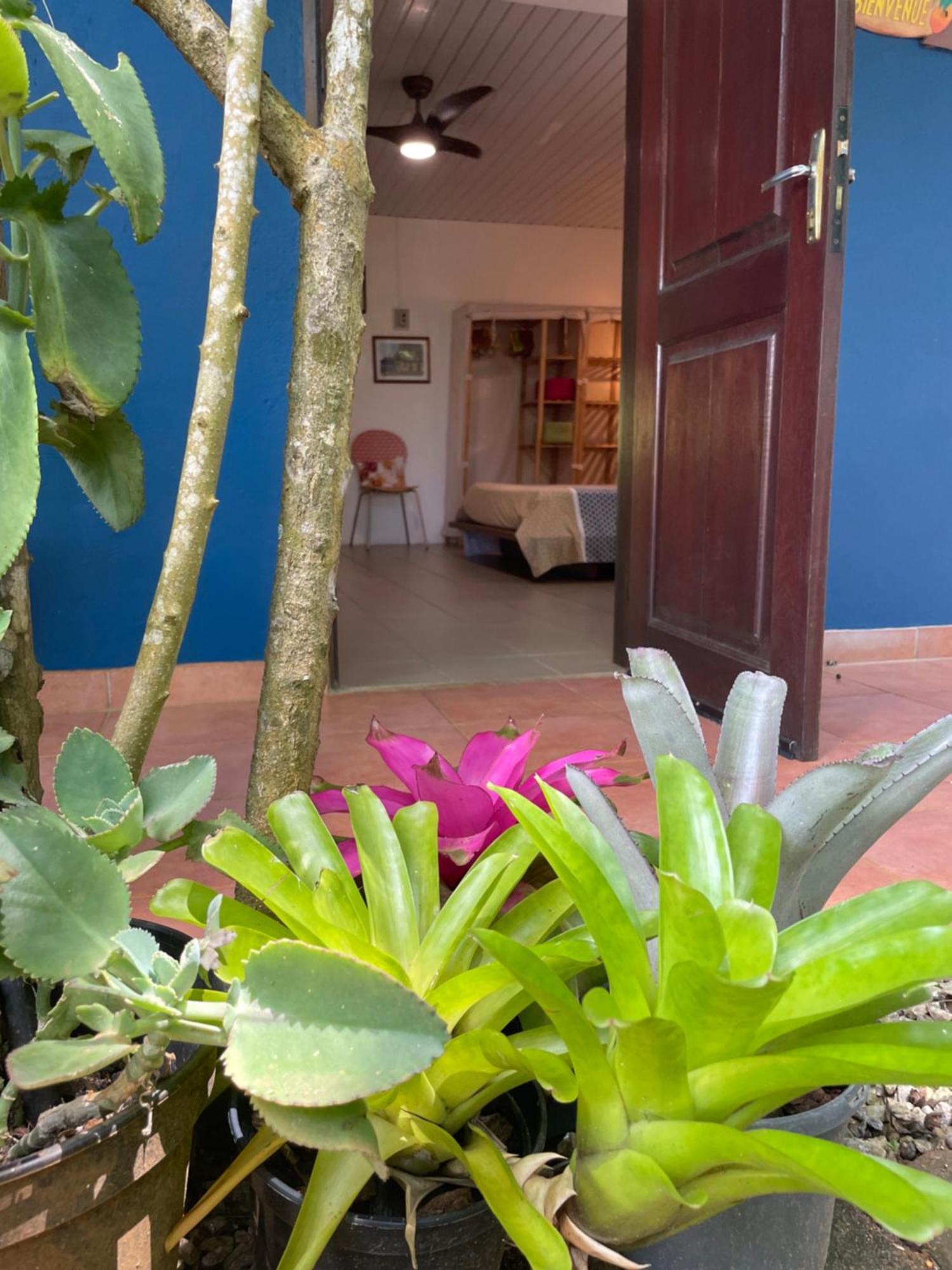 Ti Kaz Dan Bwa Apartment Кайен Екстериор снимка